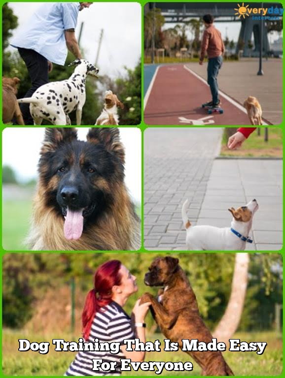 Dog Training That Is Made Easy For Everyone | Every Day Interests