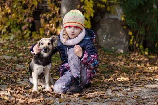 can-dogs-go-in-first-class-on-trains-every-day-interests