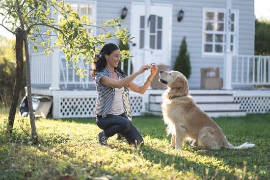 Can I Changing Dog Training Methods With My Dog