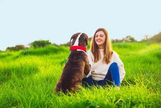 what-do-i-need-to-be-a-service-dog-trainer-every-day-interests